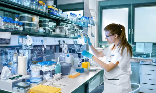 How Research and Education Strengthen Medical Excellence